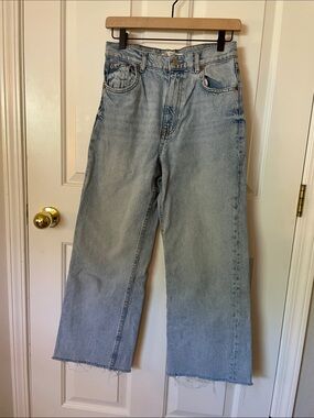 Zara Wide Leg Jean Light Wash